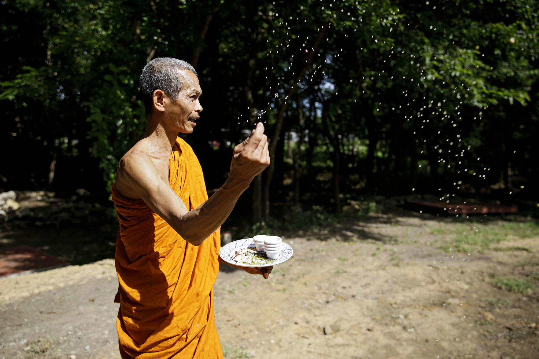 BUDDHA INSTALL